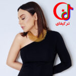 دانلود آهنگ یاپاریم بیلیرسین Yaparim Bilirsin از ایبرو گوندش Ebru Gundes